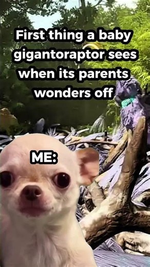 First thing a baby dino sees 👀 | Ark: Survival