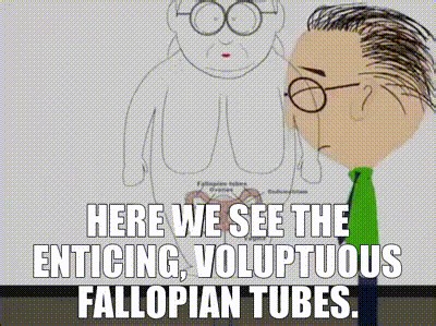 Here we see the enticing, voluptuous fallopian tubes.