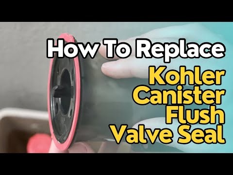 How to Replace a Kohler Class 5 Canister Flush Valve Seal