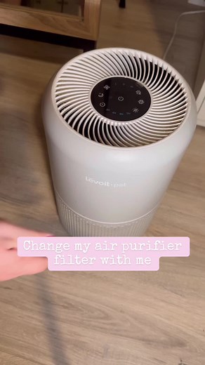 Levoit Air Purifier Filter Replacement Guide