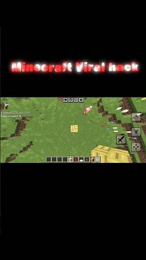 Minecraft Viral tik tok hack #shortsfeed #shorts