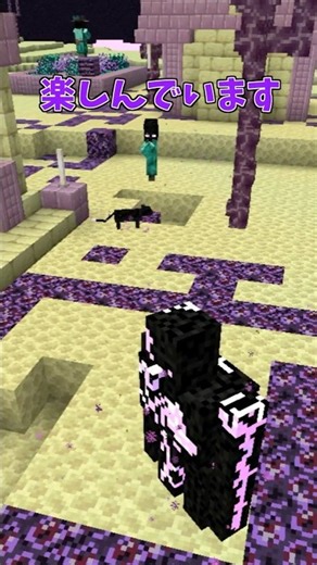 There was a village in the End too!? #minecraft #mod