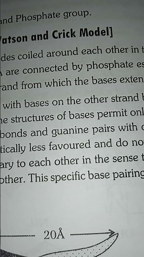 double helix structure of DNA (Watson and Crick model)👌👌