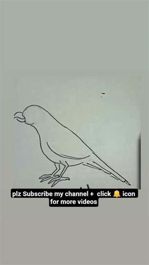 Easy to Sketch Parrot # Easy to Draw Parrot