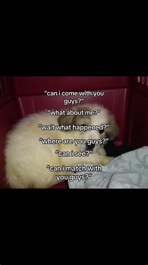 Feeling Left Out? Understanding Social Anxiety