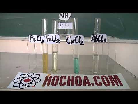NH3 + dd FeCl3, FeCl2, CuCl2, AlCl3: Hóa 9, 10, 11, 12, HSG - RẤT CHI TIẾT, TRỰC QUAN - Thầy Quyến