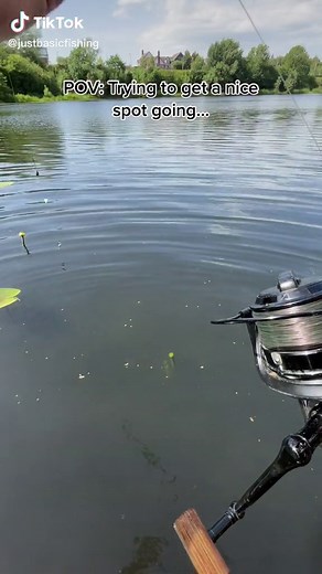 Its getting every lake now🤦🏼‍♂️🤣 #fy #carp #carpfishing #ukcarp #fishing #carpfishinguk #fishinglife #fishfeeding