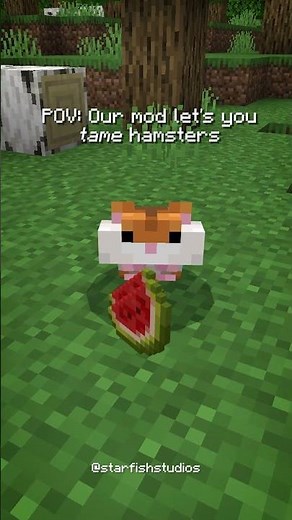 POV: Our mod let's you tame HAMSTERS🐹