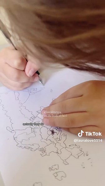 Replying to @Angelfire117 It’s so amazing to me how he draws it country by country instead of drawing the continent shape and then filling the countries in 😭 Also, he was eating jellybeans through the entire voiceover 😂 #fyp #foryou #parents #parenting #smart #genius #geniuschild #montessorimom #montessori #childledlearning #childled #maps #mapoftheworld #countries #continents #geography #smartkids