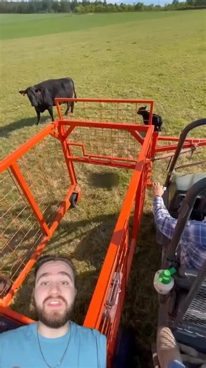 David De La Noval on Instagram: "He Built a Machine to Tag His Animals Without Stressing Them Out!"