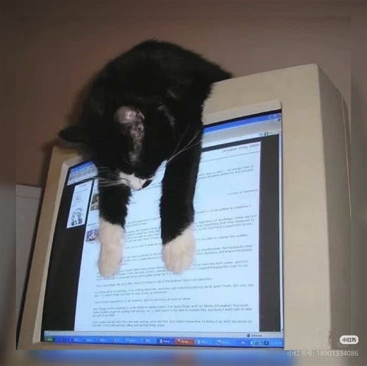 I’ll always remember you through Seth and Jay || #multifandom #fyp #vent? #targeted #targetedpost shadow and bone fnaf five nights at freddys marble hornets everymanhybrid mh emh ninah no I’m not a human TribeTwelve Wylan Van Eck Kaz Brekker Michael Afton Evan Myers Alex Kralie Brian Thomas Tim Wright Conspiracy theorist Kevin Haas Jack Wolfe Freddy Carter Evan Jennings Joseph Delage Brian Haight Tim Sutton Rikki Audax