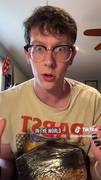 Mushroom Growing Journey in My Backyard Garden