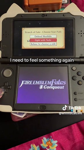 Fire Emblem Fates: How to Decide When You Refuse to Choose a Side