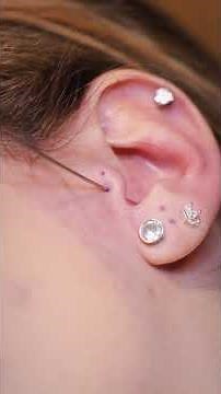 Double Tragus Piercing Process | Paradise Montreal