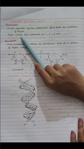 What are Nucleoside /Biomolecules class 12 chemistry handwritten notes