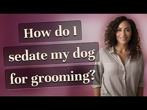 How do I sedate my dog for grooming?