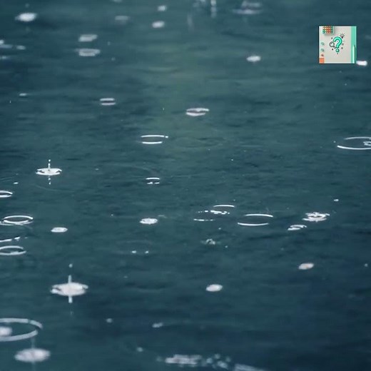 How Rain Forms Inside Clouds
