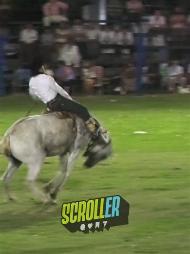 Revivimos lo mejor de la categoría Bastos con Encimera en la 43° edición de la Jineteada y Bailanta del Martín Fierro. El pasado 27 de diciembre, el campo de Maciá vibró con el nivel de estos reservados. Calidad de streaming de Scroll.er ¿Sabés quién es el jinete de esta monta? ¡Etiquetalo en los comentarios! 👇 📢 Compartí este Reel con ese amigo que no se pierde un festival. ✅ Seguí a Scroller para ver toda la cobertura de la provincia. . . . #Maciá #EntreRíos #Jineteada #BastosConEncimera #Ma
