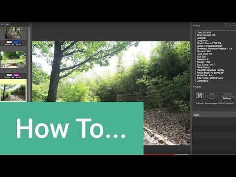 Photo Mechanic + Adobe Lightroom: How to Use Use Them Together