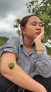 78K views · 435 reactions | Wow! SMART ideas and USEFUL in forest #camping #outdoors #bushcraft | Raj Haas | Facebook