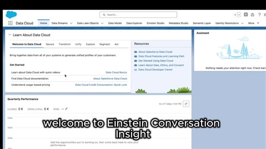 #ia #agentforce #einsteinconversationinsight #salesforce #einstein | Nathan Altmann