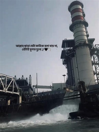 💥Frrr👅 (@shyer49)’s videos with original sound - 🐼Ꮥʜɪꜱʜɪʀ🐰