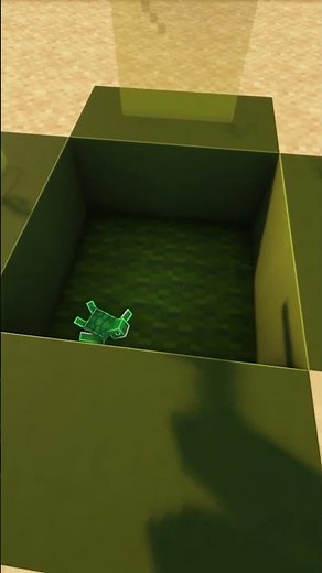 Minecraft Turtle House🐢 #shorts #minecraft