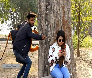 978K views · 11K reactions | Fake Tiger Prank on Cute Girl | ᴘʀᴀɴᴋ ᴡᴏʟᴀ | Facebook