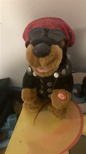 This is my born to be wild singing dog toy