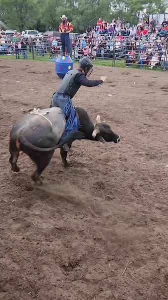 #CapCut #tattoo #fails #bullridingwrecks #bullriding