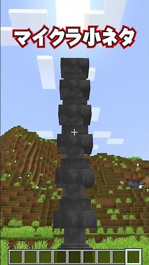 マイクラの秘密6🤫