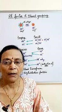 Rh factor & blood grouping || blood groups #neet Biology