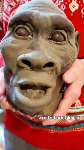 Different Types of Human Skulls | Skull Classification Explained