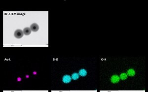 [电镜]Au\u002FSiO2核壳纳米粒子30 kV STEM 、EDX成像