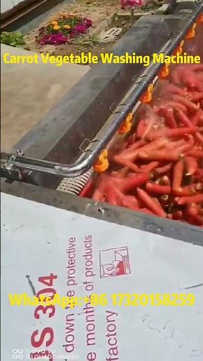 Carrot Washing Made Easy! 🍊🥕 | Fruit & Vegetable Washer Machine Demo#washingmachine