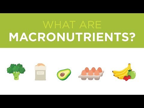 What are Macronutrients?