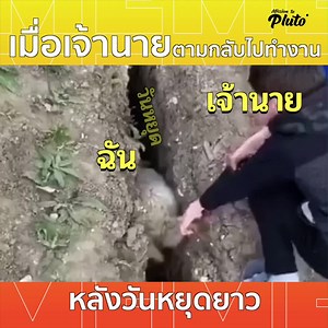 20 reactions | ความรู้สึกเมื่อกลับมาทำงานวันแรก หลังหยุดยาวมาทั้งสัปดาห์ . . #MissionToPlutoPodcast | File Not Found | Facebook