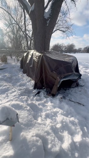 A fort outside in the snow #fort