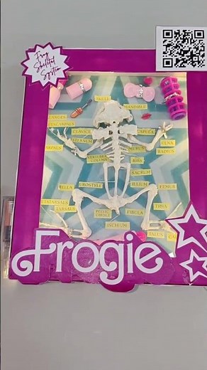 Anatomy and Physiology l Frog's Skeletal System