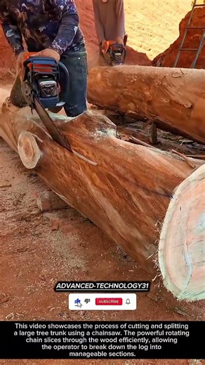 Chainsaw Power – Splitting Massive Logs with Precision !! #innovation #tool #tools