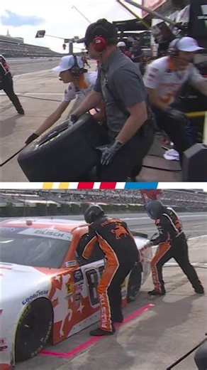 Dale Jr. — pit stop pro