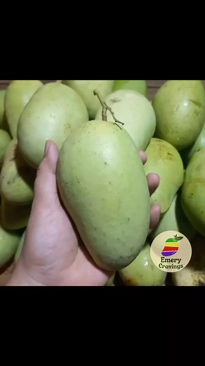 Crunchy, maasim, masarap! 🥭 Carabao Mango Maniba rich in Vitamin C and perfect pampagising! Fresh today at #EmeryCravings 💛 #mangganghilawwithbagoong #carabaomango | Emery Cravings