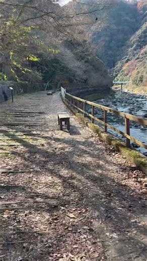 武田尾の紅葉🍁と廃線と武庫川に繋がる川に癒される。#武田尾 #武庫川 #紅葉