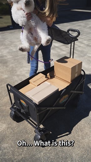 I just got my paws on the new Plush Puppy Trolley Cart and I’ve never travelled in more style 🐾✨ There’s room for all my toys (and maybe a few sneaky treats), I'm ready for some new adventures! https://plushpuppy.com.au/product/plush-puppy-trolley-cart/ #PlushPuppy #DogGrooming #ShowDogs #GroomingGear #PetTravel #AussieMade | Plush Puppy Australia