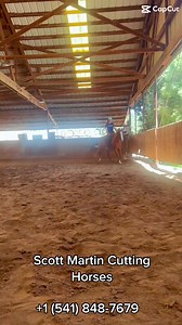 12 shares | “MIZ RUBY JACKSON” June 08 2021 Sorrel MARE Sire:...