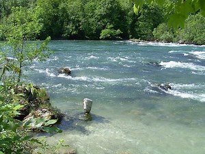 Rapids - Alchetron, The Free Social Encyclopedia