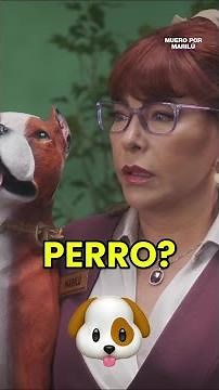 ¡El secreto del perro cojín! 😅🐶 #mueropormarilú #comedia #humor #risa