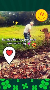 #viral #inconditionallove #PeluditosFelices | Jam Putumayo