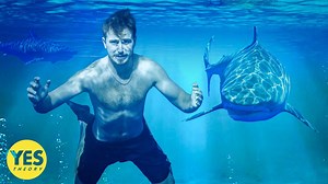 Swimming with the World’s Deadliest Shark