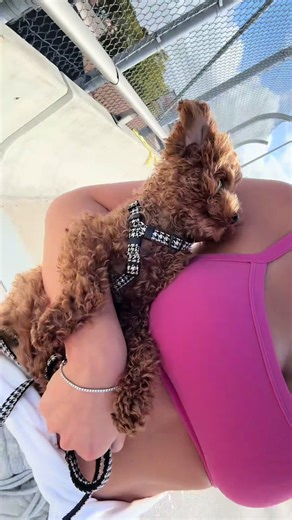 J’espère que vous aimez mes longs vlogs pcq c tout ce que vous avez 😭😭😭 ah pi la maison de Donald ctai impossible à voir les policiers nous disaient de partir 🤣🤣 #fyp #vlog #spendthedaywithme #vacation #friends